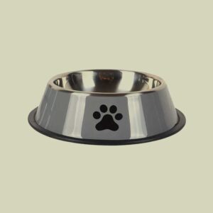 Dog Bowl
