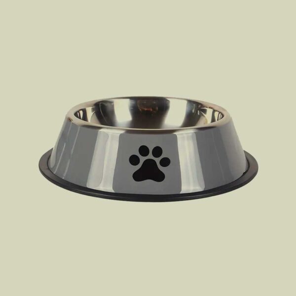 Dog Bowl
